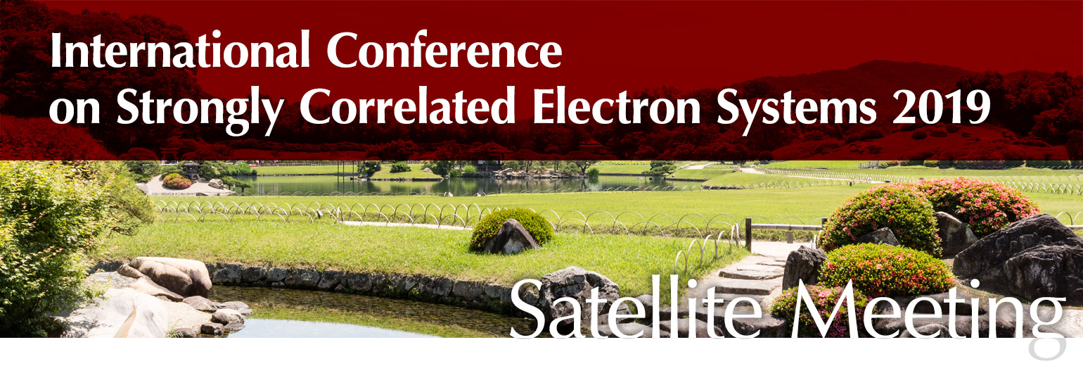 Satellite Meeting
